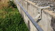 © kanin - Metal conduit clamp on cement wall. Pipe with mounting arm attached to side wall of railway bridge on green leaf background with copy space. Close focus and select an object