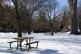 Fototapeta Most - parque en el invierno
