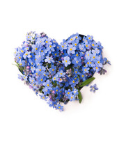 Poster - Forget me not, little flowers in heart shape, isolated on white.