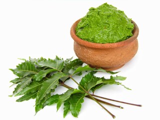 Neem paste in a bowl with leaves isolated on white background