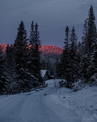 Sticker - Vertical shot of a snow-covered road in a mountainous village with dense trees