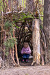 © Nataliia Makarovska - happy little girl sitting in a tree house in the woods, Lockdown