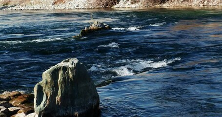 Wall Mural - Small rapids in south Yuba river in California 