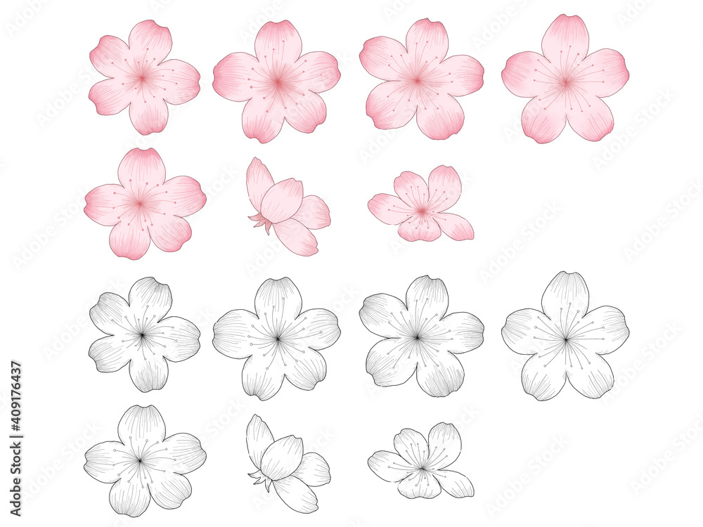 デッサン 花 hqdefault.jpg