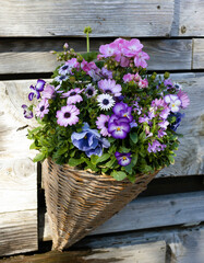 Wall Mural - hanging flower basket 