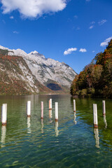 Poster - View from Saletalm on the Koenigssee in Berchtesgadener Land, Bavaria, Germany.