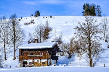 Canvas Print - typical bavarian farmhouse near the alps