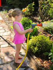 Wall Mural - Beautiful little toddler girl watering garden flowers with water hose on summer day. Happy child helping in family garden, outdoors, having fun with splashing