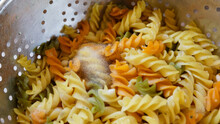 Unhealthy Mould Spores On Left Over Fusilli Pasta, Cooked Corkscrew-noodle Decay