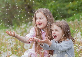 Beatiful children collecting flowers and playing with dandelions