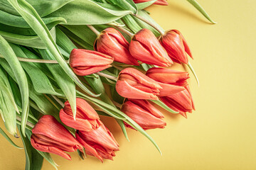 Wall Mural - Orange tulips over yellow background, Easter. Birthday, mother day greeting card concept with copy space. Top view, flat lay.