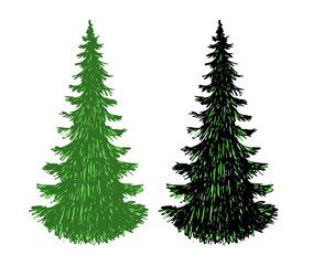 Vector evergreen Christmas trees hand-drawn by hatching. Fur-tree are isolated on a white background.