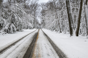 Poster - Vertical shot of a snow-coveredroad in the countryside