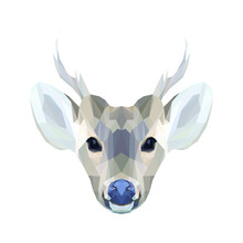 Geometrical Illustration Of A Deer Head Isolated
