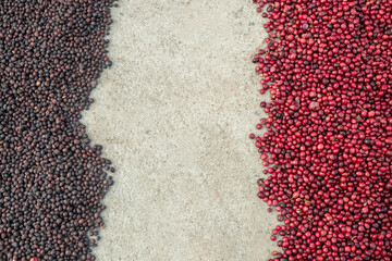 Wall Mural - coffee beans berries drying natural process on the cement ground floor.