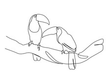 Toucan Birds Perched On A Branch. Continuous One Line Drawing