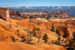 © Cavan Images - Scenic view of rock formations from Queens Garden Trail, Bryce Canyon National Park, Utah, USA