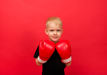 Wall Mural - a little boy sportsman in red boxing gloves on a red background with space for text