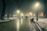 Fototapeta Londyn - Alley of a night winter park in a fog. Footpath in a fabulous winter city park at night in fog with benches and latterns. Beautiful foggy evening in the Mariinsky Park. Kyiv, Ukraine.
