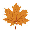 Maple leaves. Autumn colors.