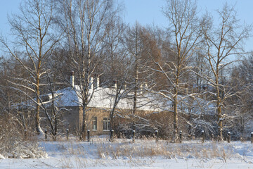 Bare trees in fluffy snow caps, drifts and dry grass in the foreground, a stone building in the snow in the back. Scenic view of the village on a sunny winter day.