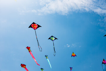 Wall Mural - kites with blue sky and white clouds