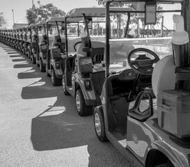 Wall Mural - Background image of multiple golf carts parked in order.