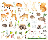 Fototapeta Fototapety na ścianę do pokoju dziecięcego - Watercolor Forest Animals elements with cute little deers, foxes, squirrel, hedgehogs, owls, bear, hares, stumps, mushrooms, flowers, twigs, grass, butterfly and dragonfly