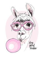 Wall Mural - Funny poster. Portrait of Llama in a pink Lips Sunglasses and with a bubble gum. Hey good lookin - lettering quote. Humor card, t-shirt composition, hand drawn style print. Vector illustration.