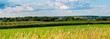 Central Wisconsin farmland in summer