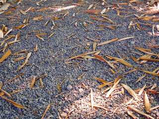 Wall Mural - Crushed gravel as background or texture. Background of granite gravel