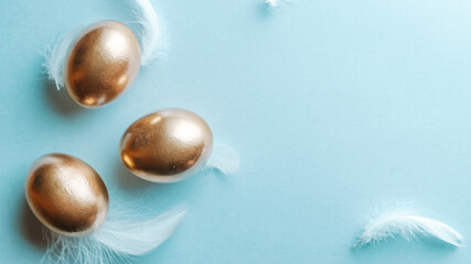 Wall Mural - Easter symbol. Golden eggs in basket with white feathers on pastel blue background in Happy Easter decoration. Congratulatory easter flat lay design.
