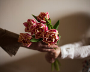  child gives mom flowers tulips .march,8, mother day background