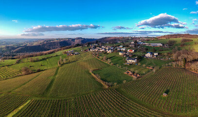 Poster - Allassac (Corrèze, France) - Vue aérienne de la vallée de la Vézère et des vignobles depuis la Chartroulle