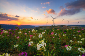 Windmill farm for electricity production. Wind power turbines generating clean renewable energy for sustainable development