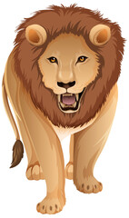 Poster - Front of adult lion in standing position on white background