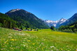 Tal in den Bergen, Alpen im Frühling mit Blumenwiesen, Gipfel mit Schnee und Hütten