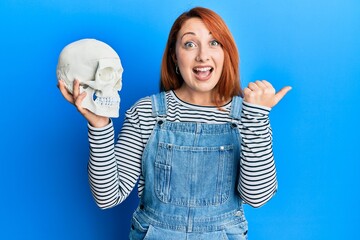 Poster - Beautiful redhead woman holding human skull pointing thumb up to the side smiling happy with open mouth