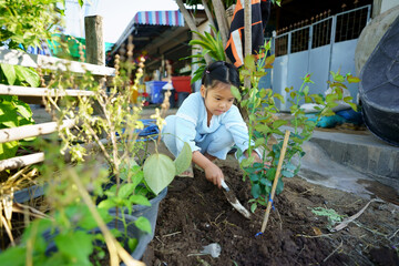 Asian child or kid girl gardener planting trees or people plant red rose flower tree in love garden for valentine beauty on green nature and soil to natural growth and agriculture at home on sunlight