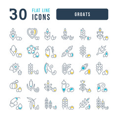 Canvas Print - Set of linear icons of Groats