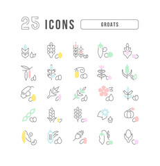 Canvas Print - Set of linear icons of Groats