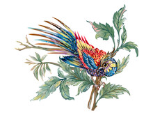 Colorful Asian Phoenix  Bird Pheasant Botanical Illustration Hand Drawing Traditional Folk Fashion Ornament Elements Bouquet On White