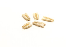 Five Opo Gourd Or Calabash Squash Seeds Isolated On White Background