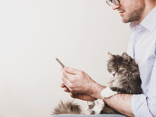 Cute, fluffy kitten and a man with a phone. Pet care concept