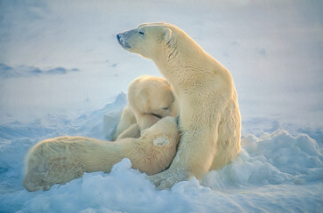 Poster - Polar bear nursing cubs,photo art