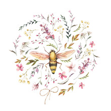 Watercolor Bee Free Stock Photo - Public Domain Pictures