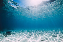 Tropical Ocean With White Sand And Stones Underwater In Hawaii. Ocean Background