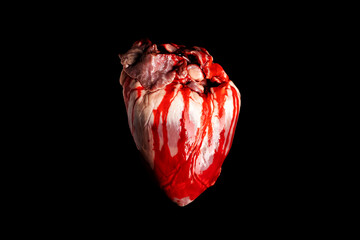 Fototapeta bleeding heart isolated on black background.