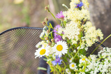  Colorful Bouquet Of Wildflowers And Chamomile In The Basket Of Black Bicycle In Nature Blur Background In Sunny Day