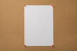 © ActionGP - Photo of vertical clear sheep of paper attached with red pins to the wooden board